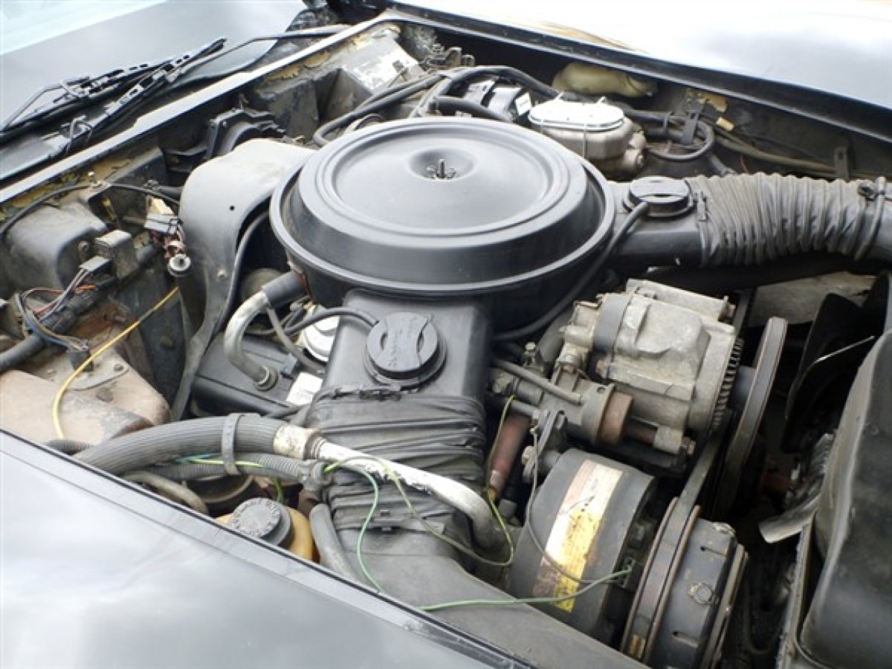 1979 Chevrolet Corvette