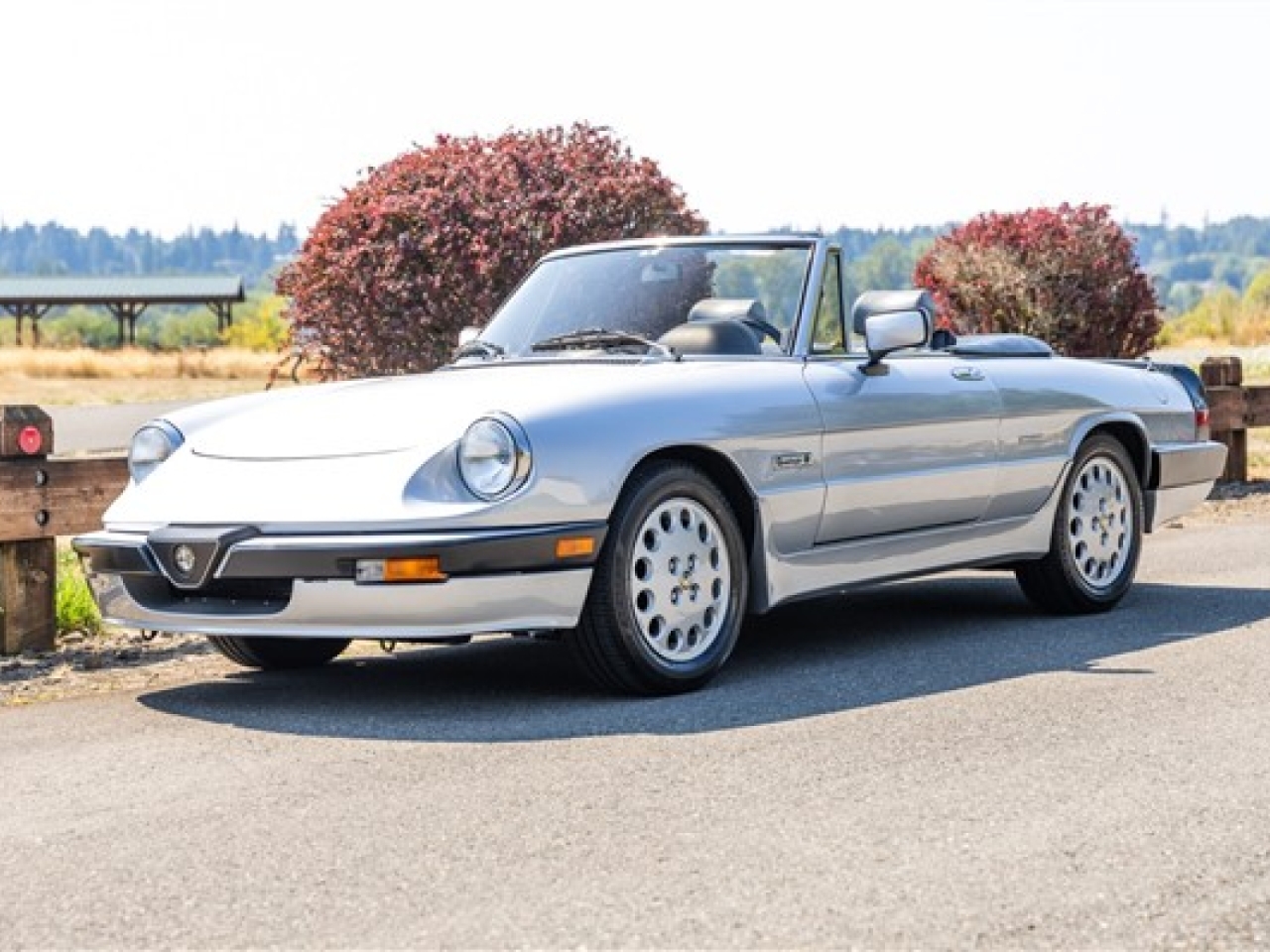 1987 Alfa Romeo Spider Quadrifoglio