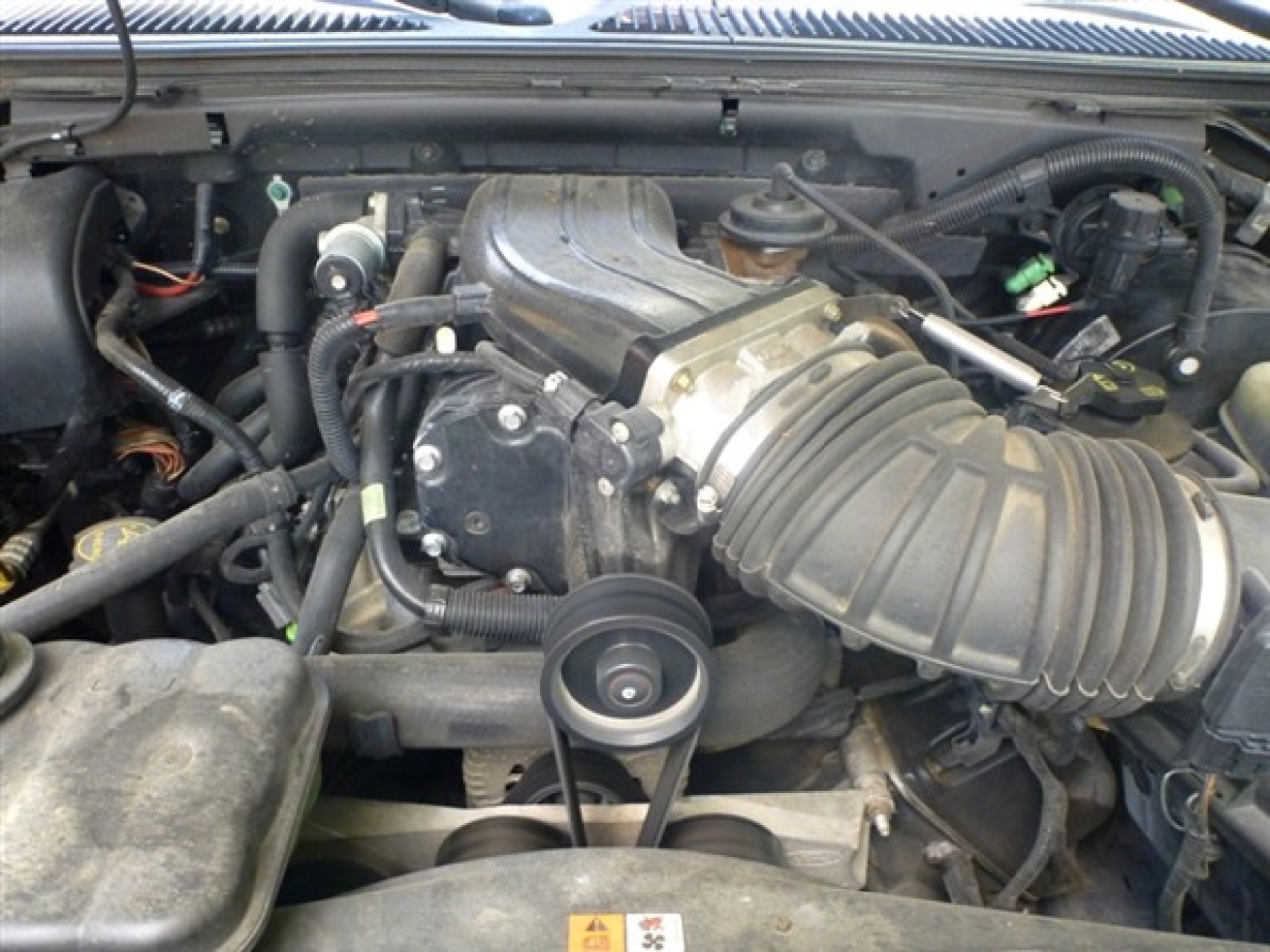 2003 Ford F150 (Harley Davidson Edition)