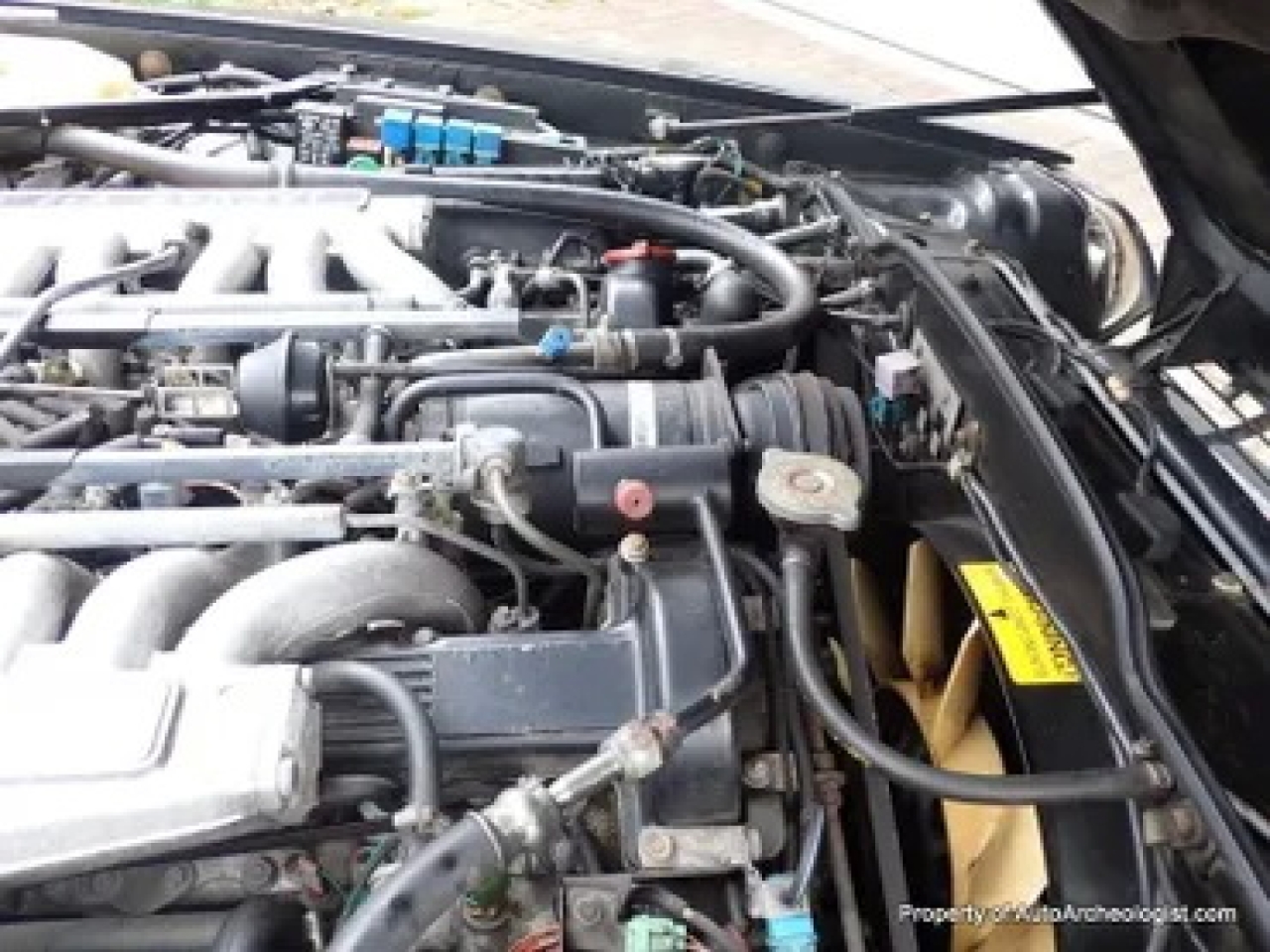 1992 Jaguar XJS Roadster