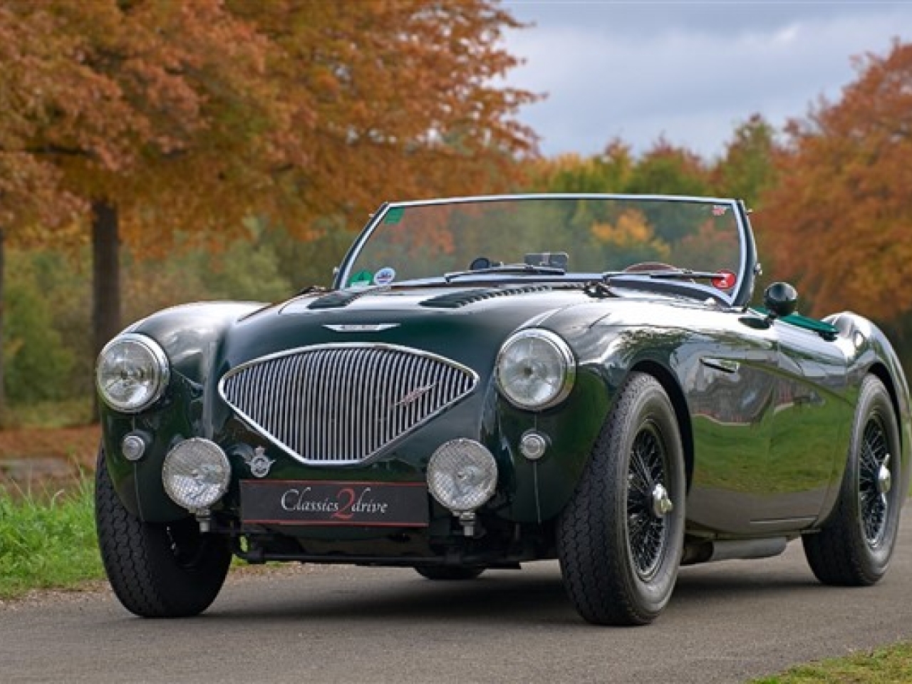 1954 Austin Healey 100 M BN1- Le Mans