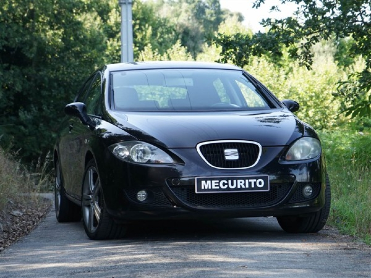 2007 Seat Leon 1.9 TDI