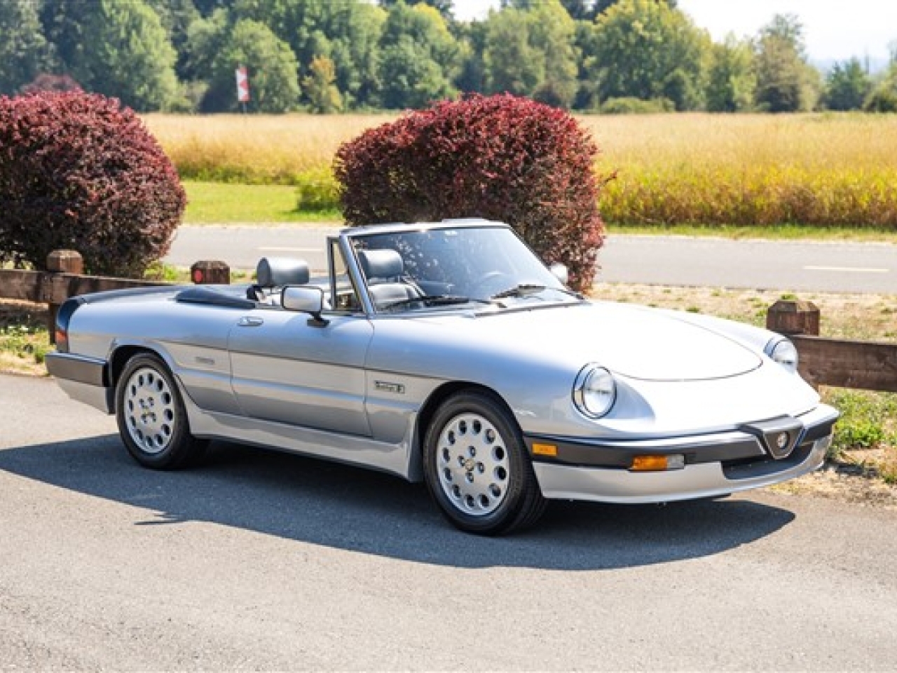 1987 Alfa Romeo Spider Quadrifoglio