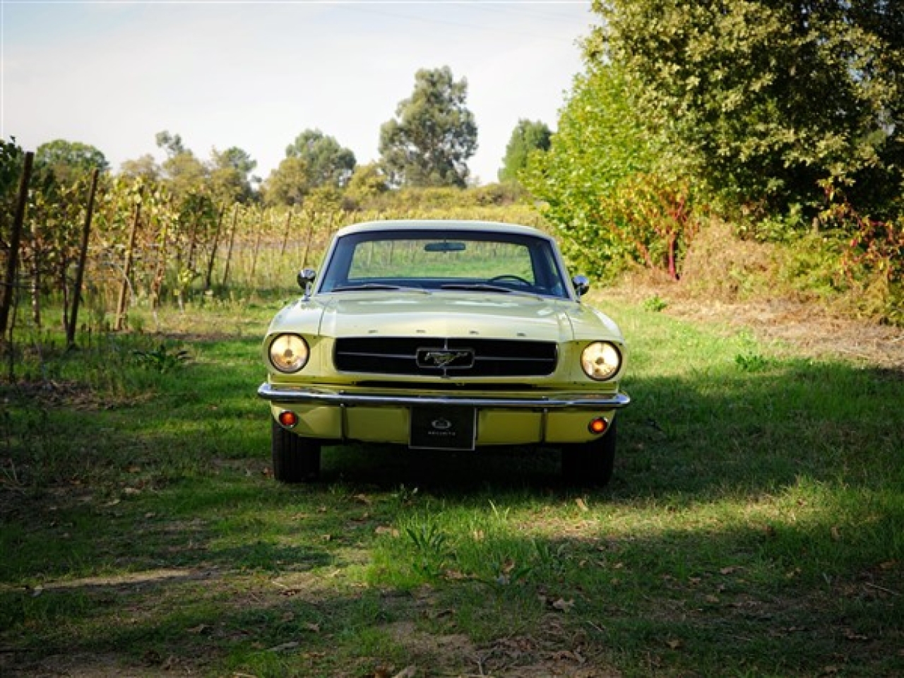 1965 Ford Mustang 289 V8