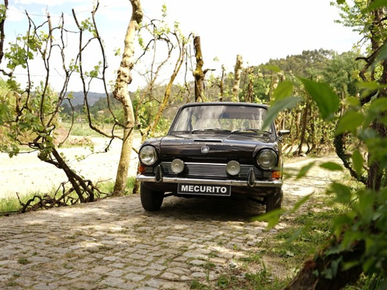 1972 Triumph TC 1300