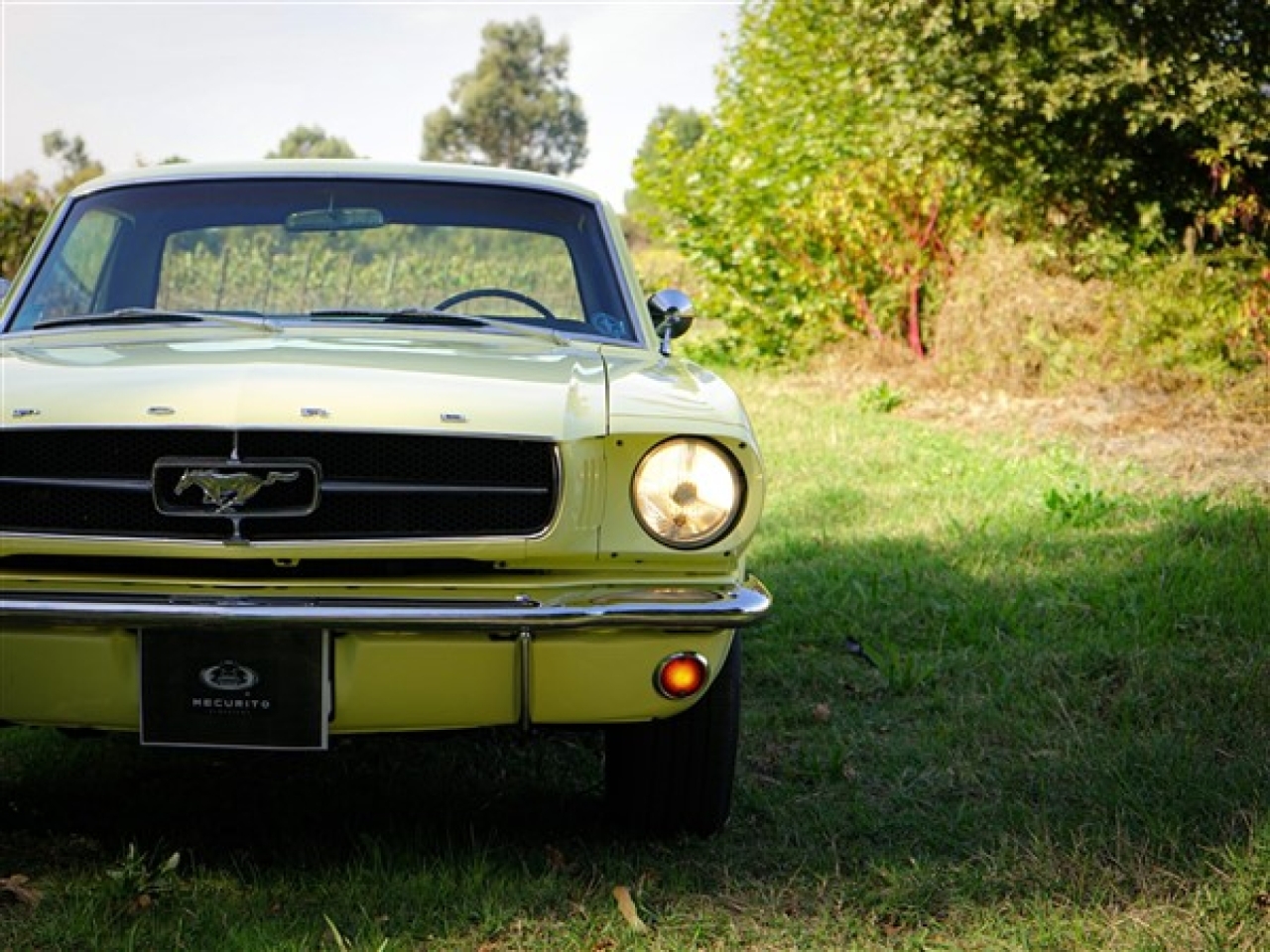 1965 Ford Mustang 289 V8