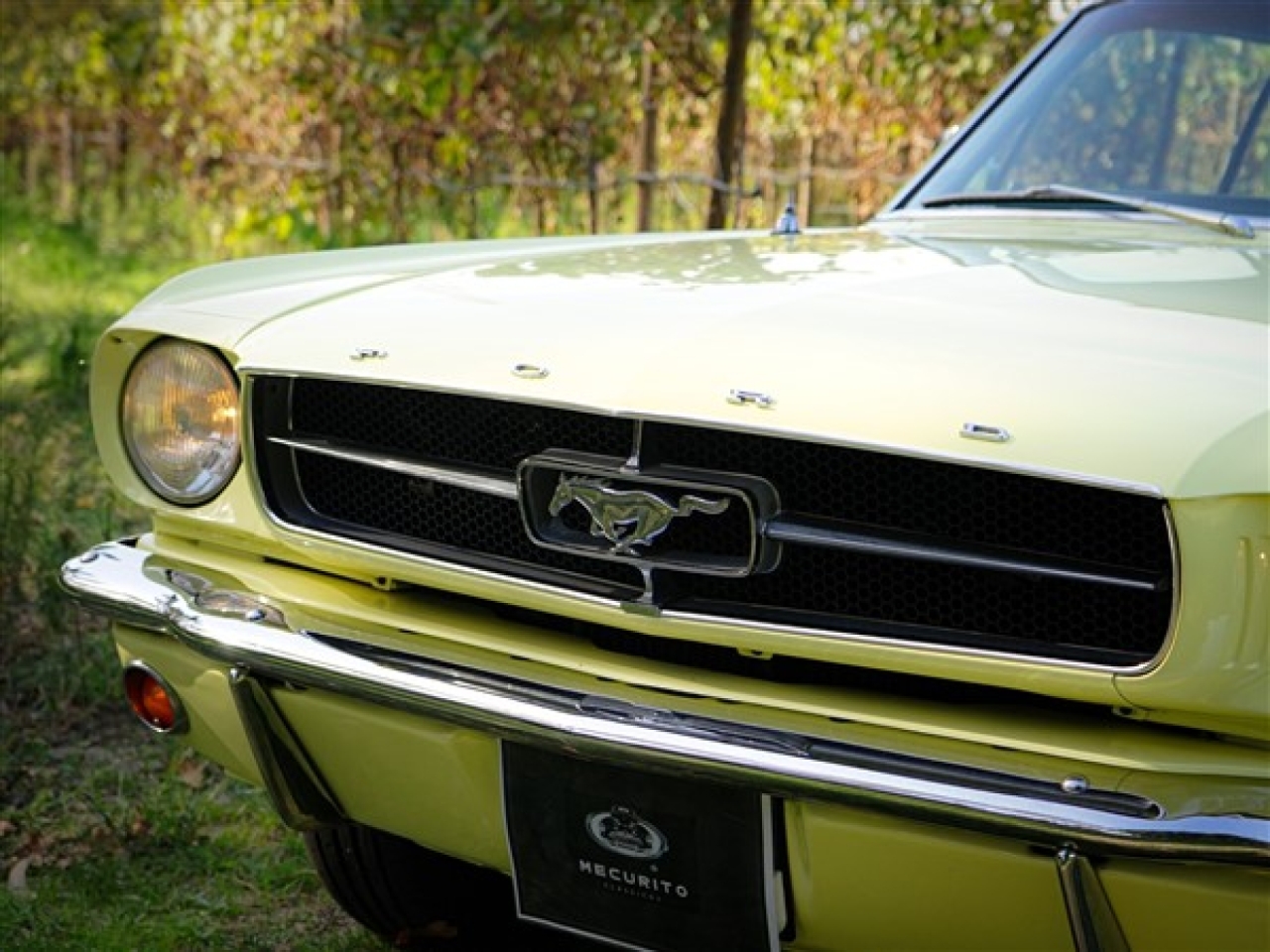 1965 Ford Mustang 289 V8