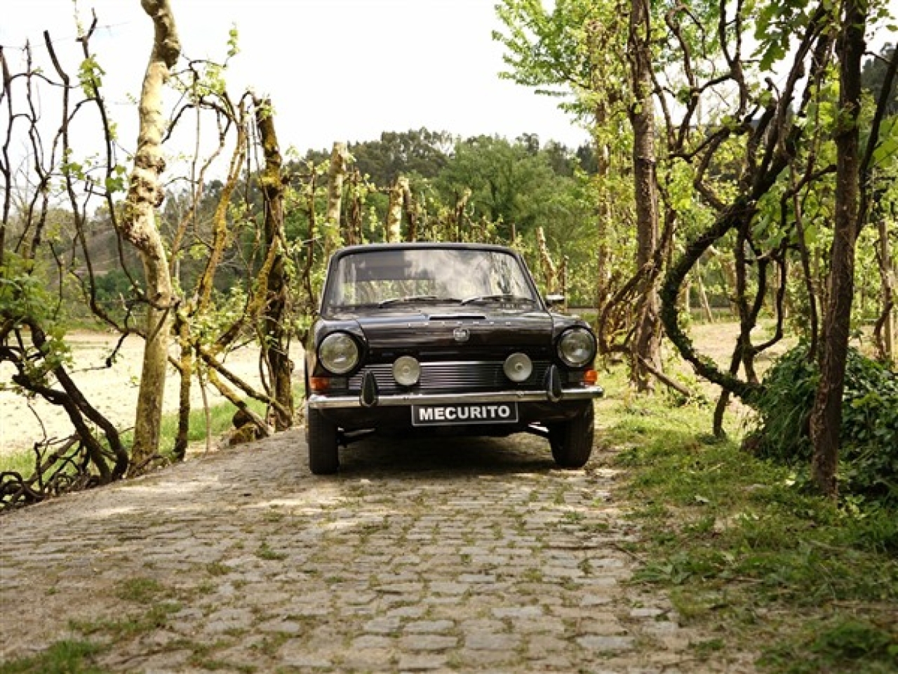 1972 Triumph TC 1300