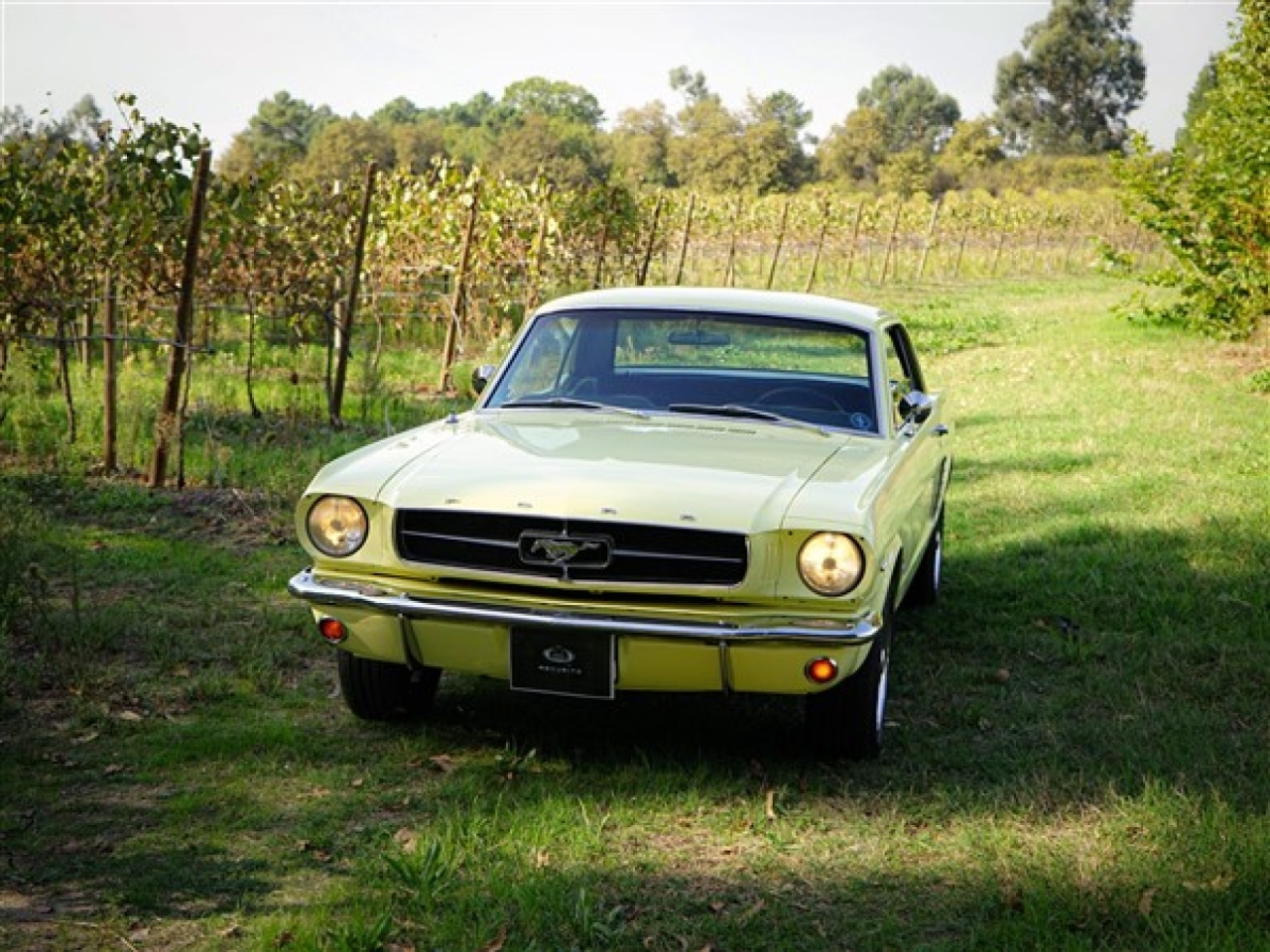 1965 Ford Mustang 289 V8