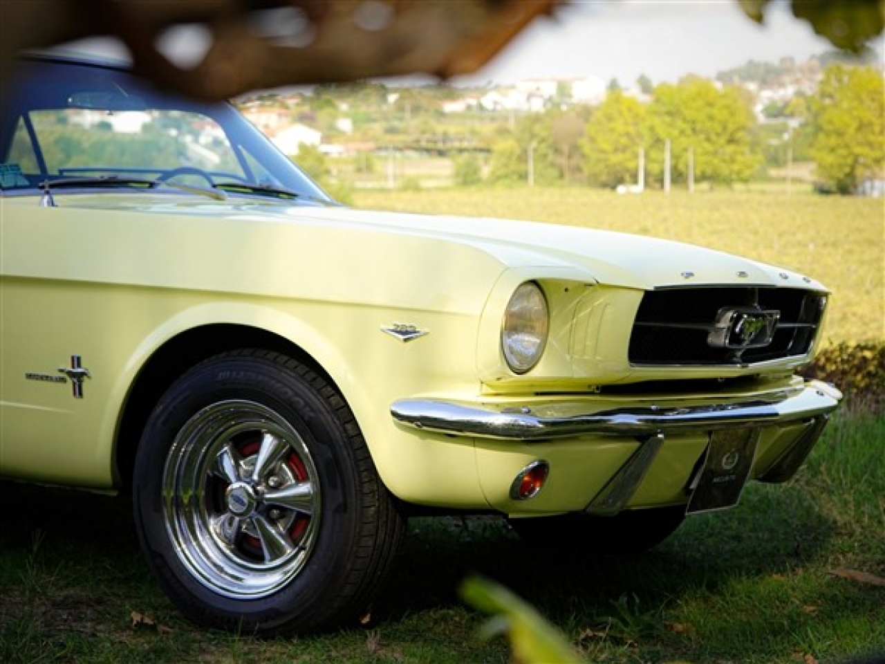 1965 Ford Mustang 289 V8