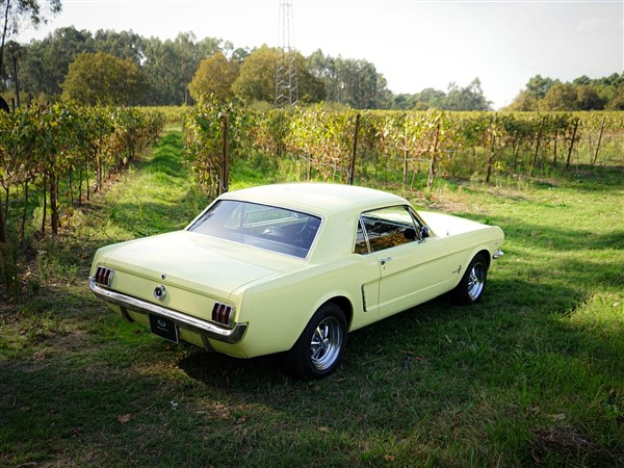 1965 Ford Mustang 289 V8
