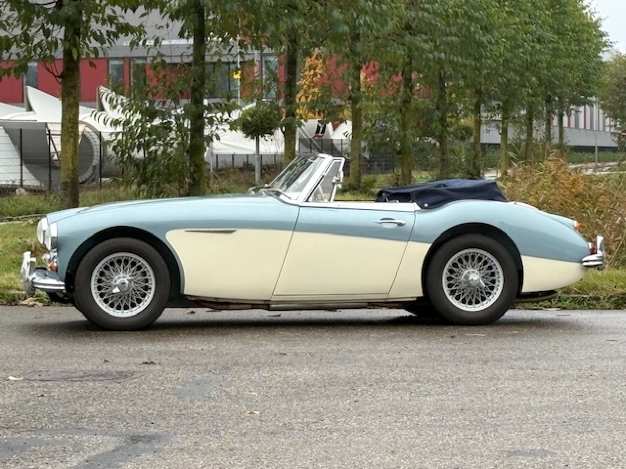Austin Healey 3000 Mk2 1966
