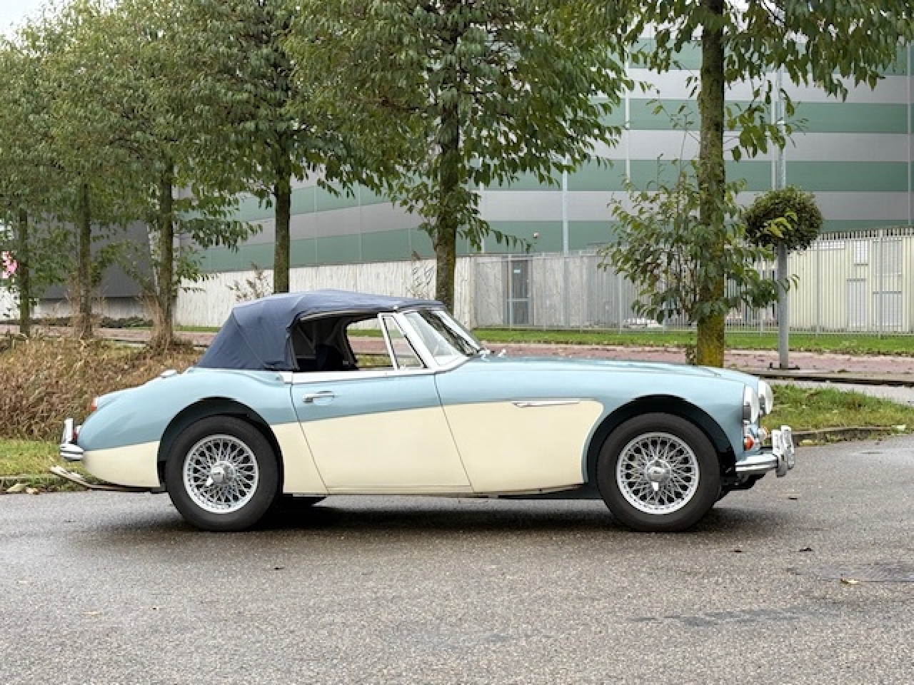 Austin Healey 3000 Mk2 1966