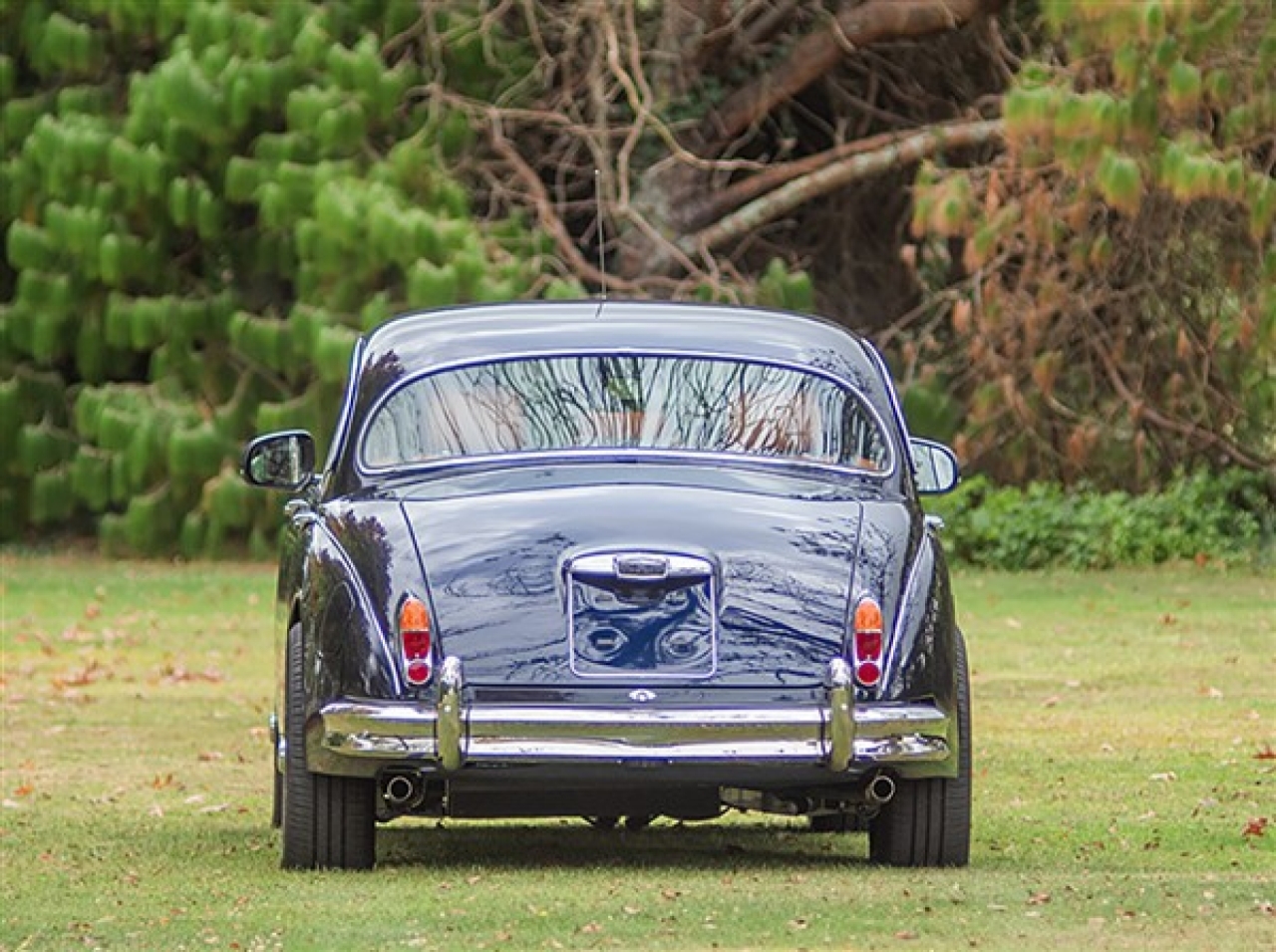 Beacham Jaguar MK2