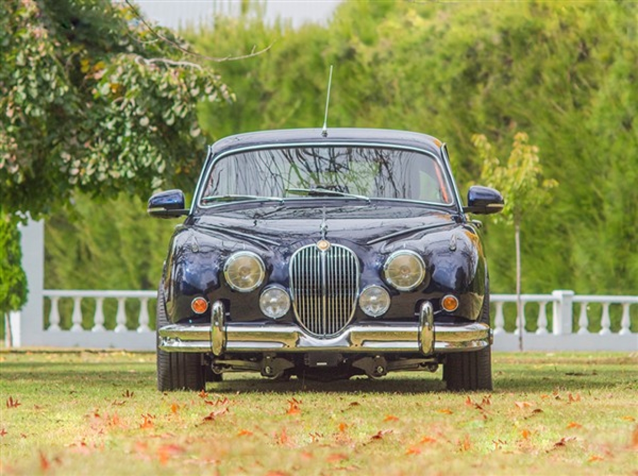 Beacham Jaguar MK2