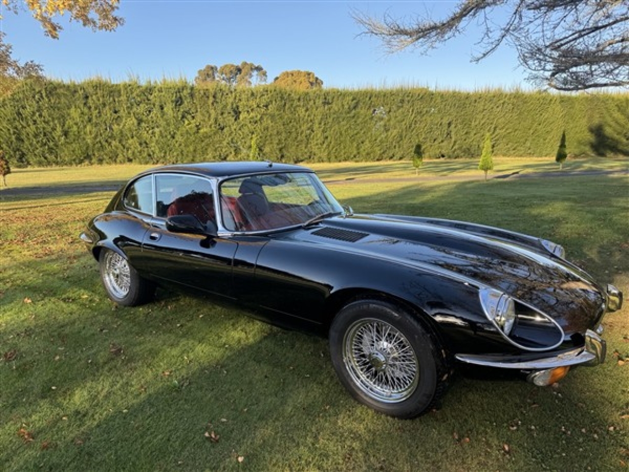 Beacham Jaguar Coupe