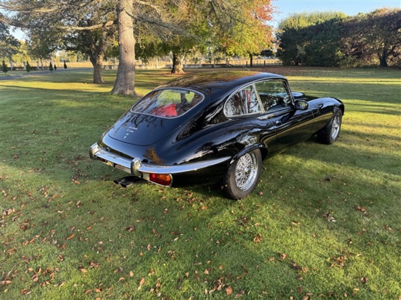 Beacham Jaguar Coupe