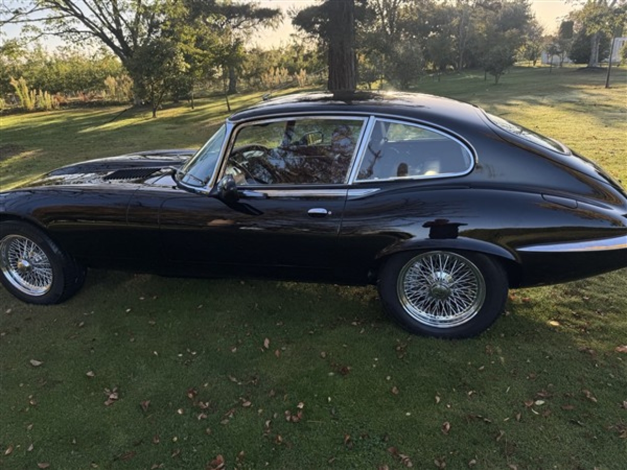 Beacham Jaguar Coupe