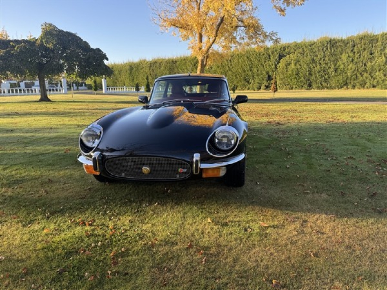 Beacham Jaguar Coupe