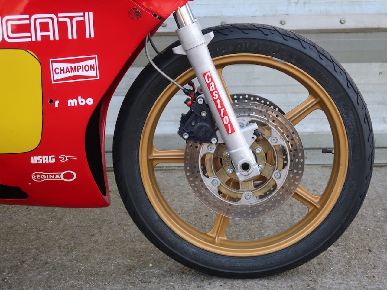 Ducati TT2 Race Replica