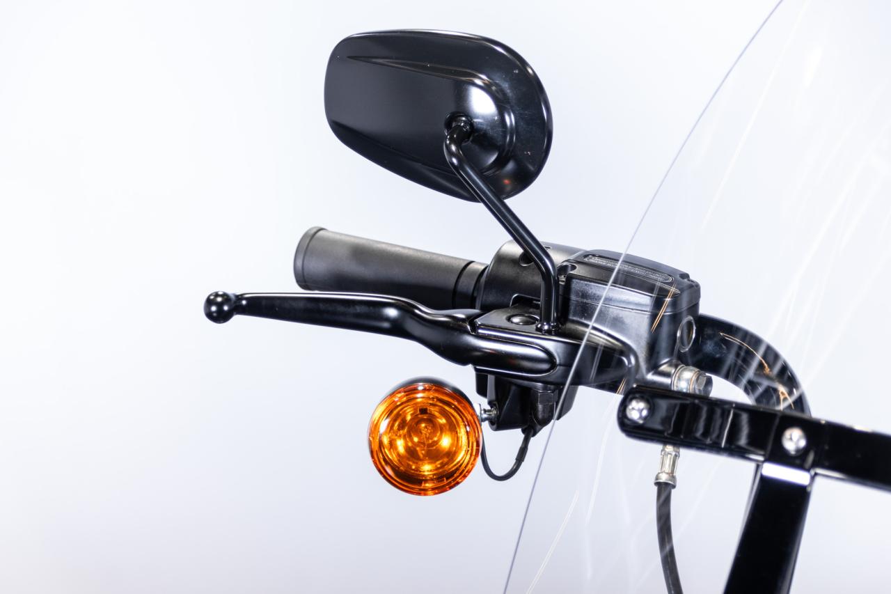 2021 Harley Davidson Roadking Special 114