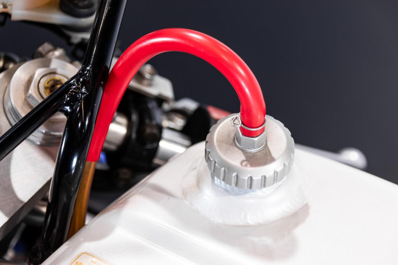 1989 Honda VFR 750 r (RC 30)