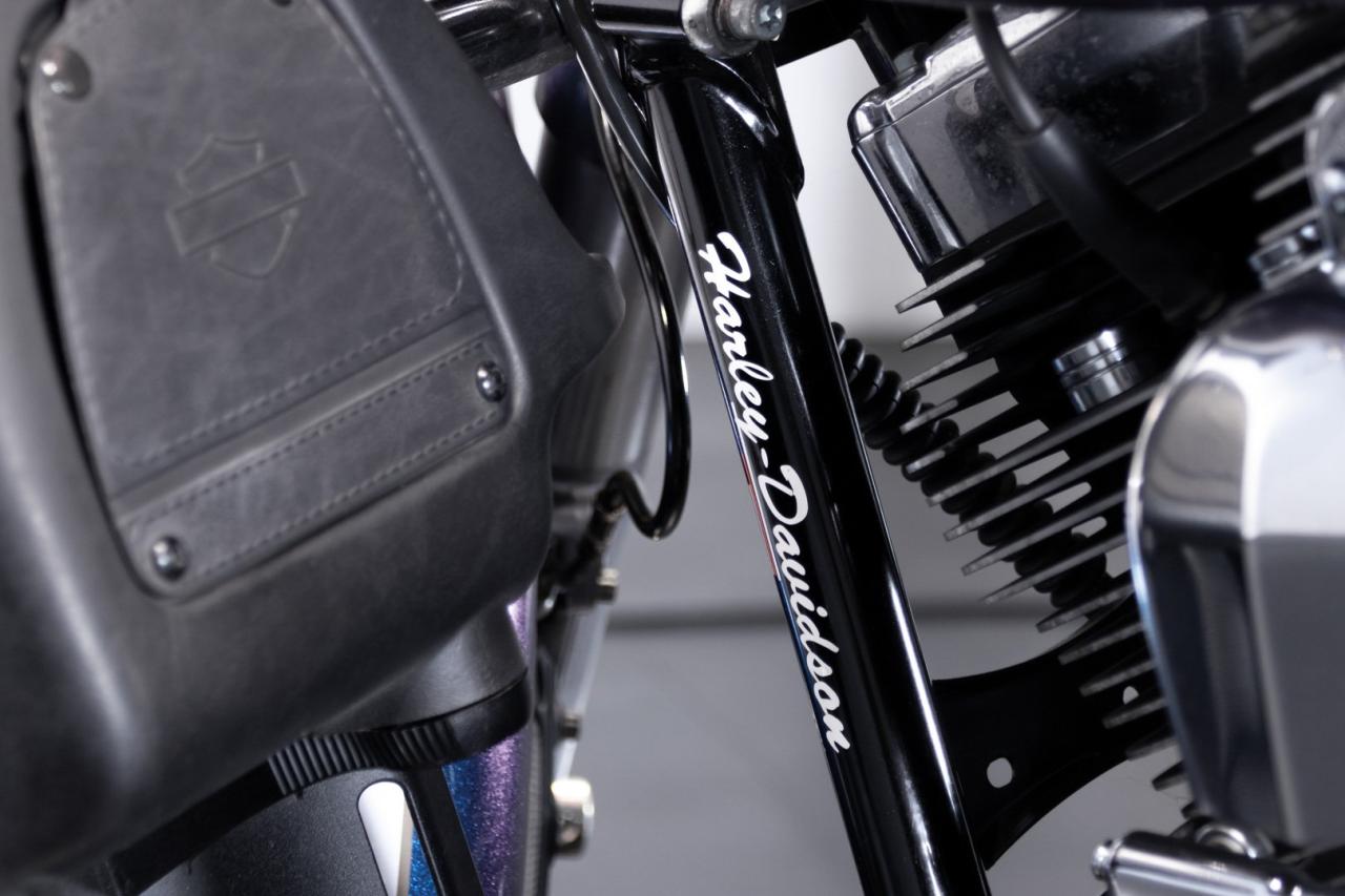 2010 Harley Davidson Electra Glide