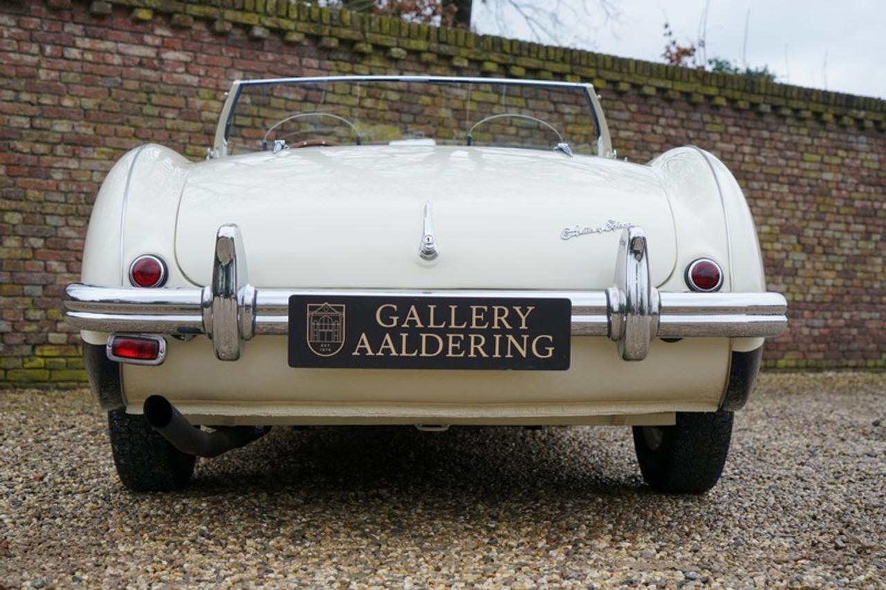 1955 Austin - Healey 100/4 BN1