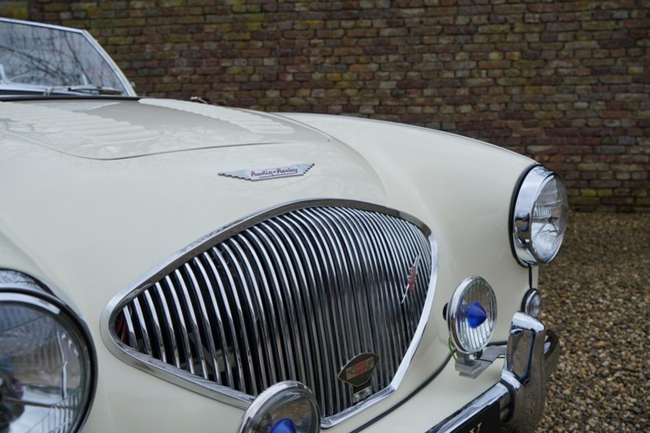 1955 Austin - Healey 100/4 BN1