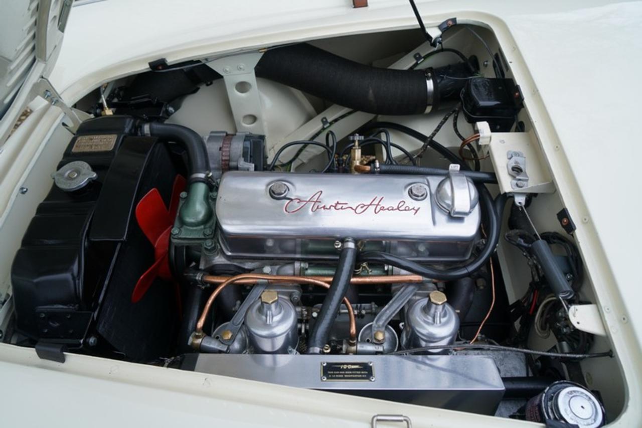 1955 Austin - Healey 100/4 BN1