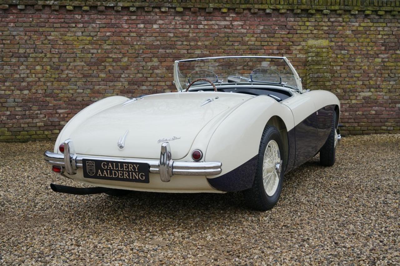 1955 Austin - Healey 100/4 BN1
