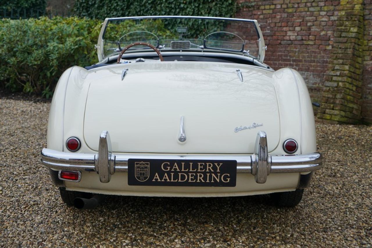 1955 Austin - Healey 100/4 BN1