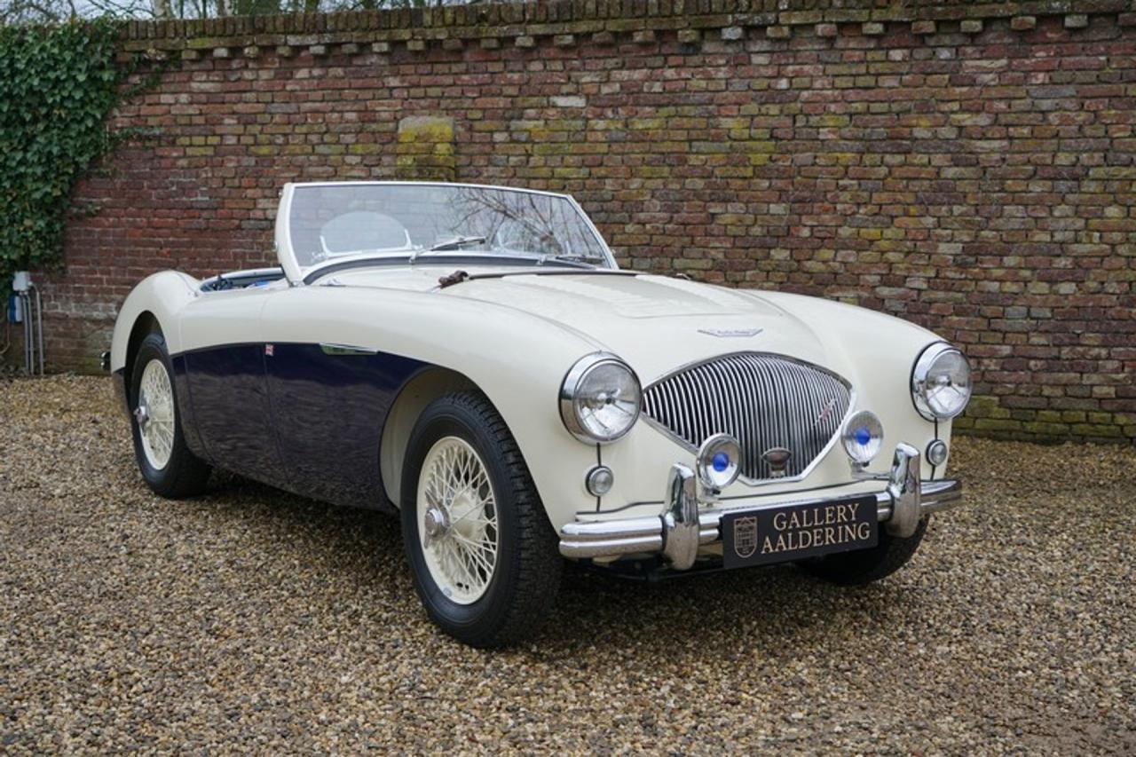 1955 Austin - Healey 100/4 BN1