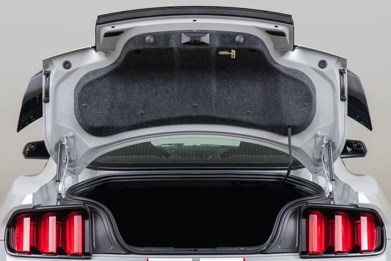 2015 Ford Mustang Shelby GT350R