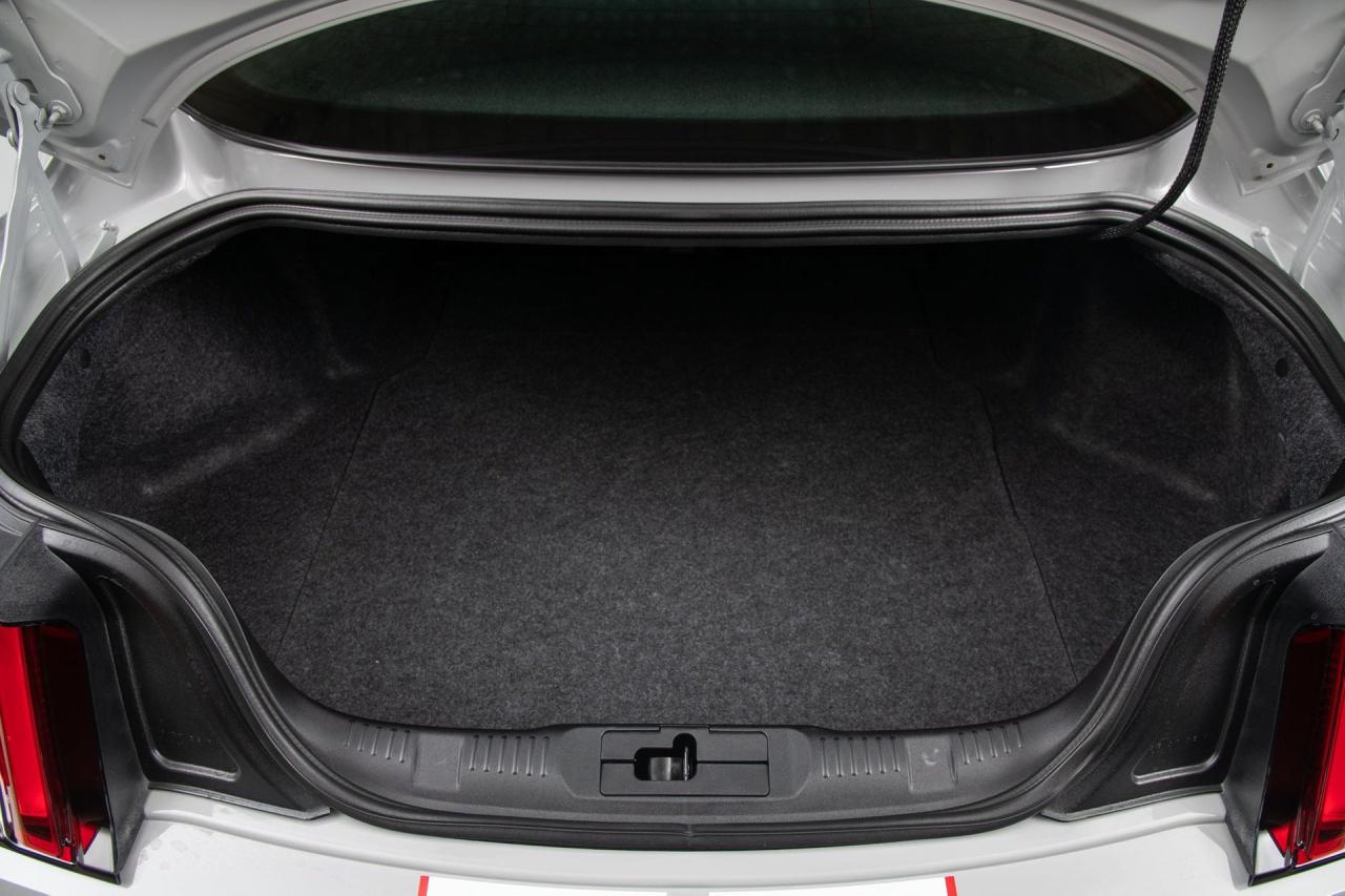 2015 Ford Mustang Shelby GT350R