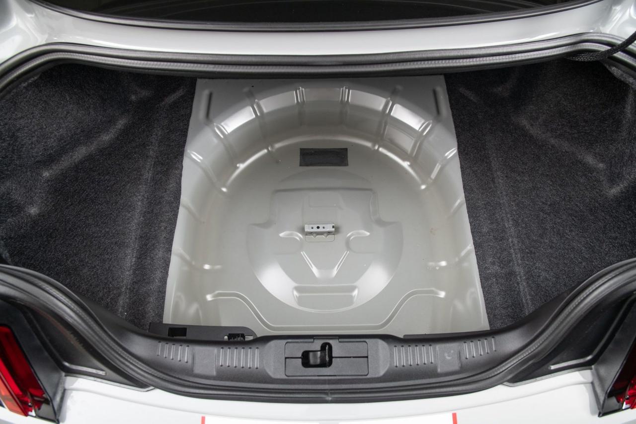 2015 Ford Mustang Shelby GT350R