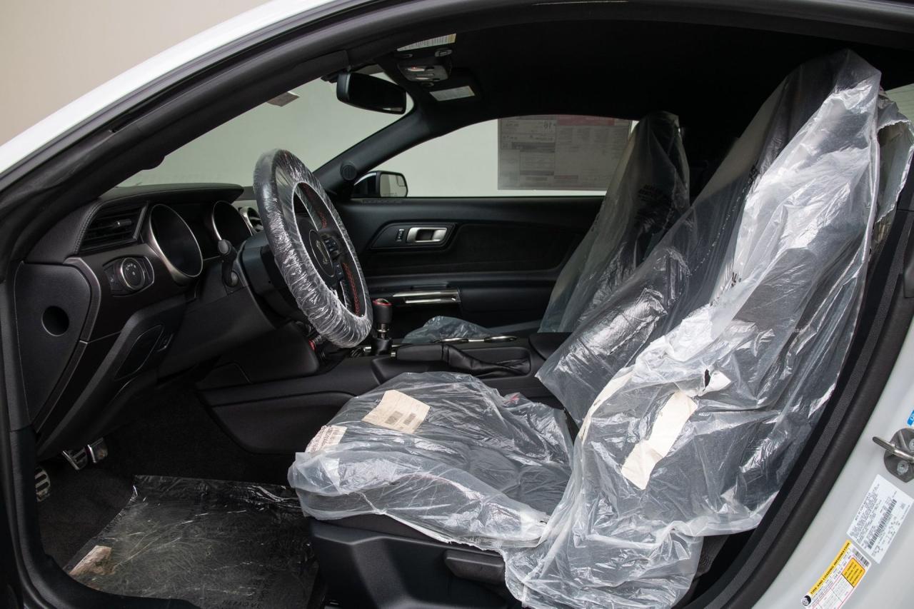 2015 Ford Mustang Shelby GT350R