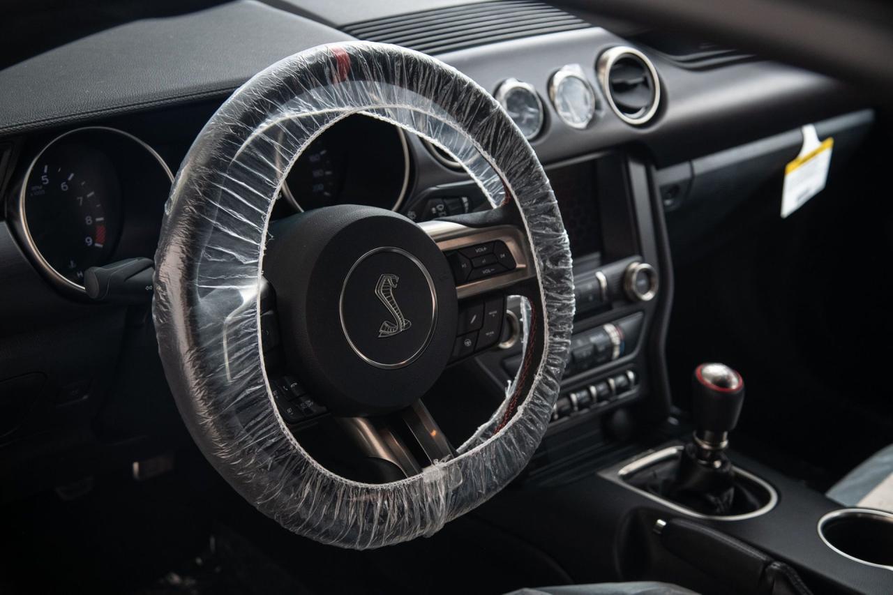 2015 Ford Mustang Shelby GT350R