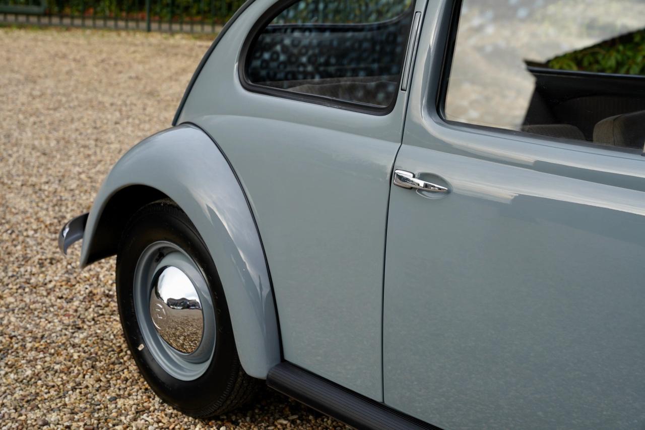 1955 Volkswagen Beetle Oval Window Beetle