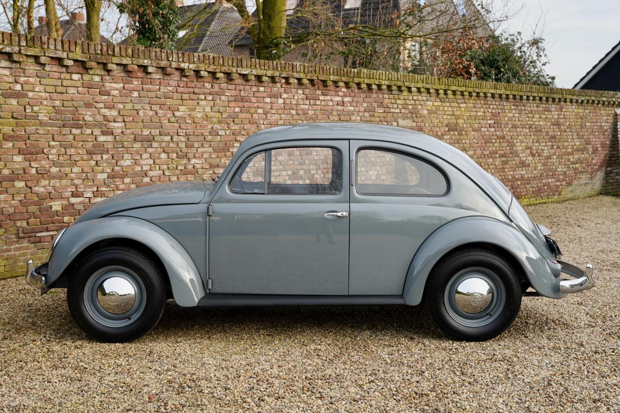 1955 Volkswagen Beetle Oval Window Beetle