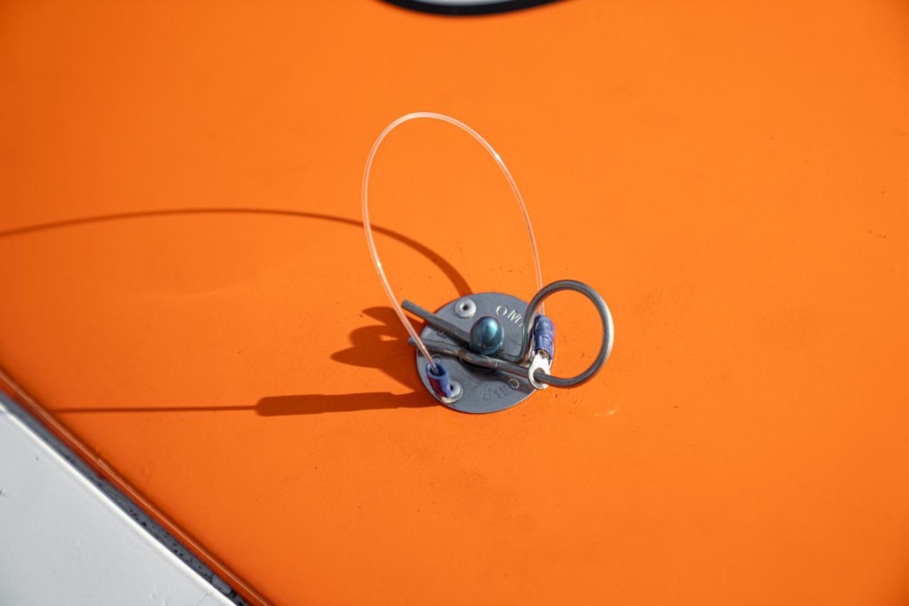 2010 Chevrolet NASCAR RC01