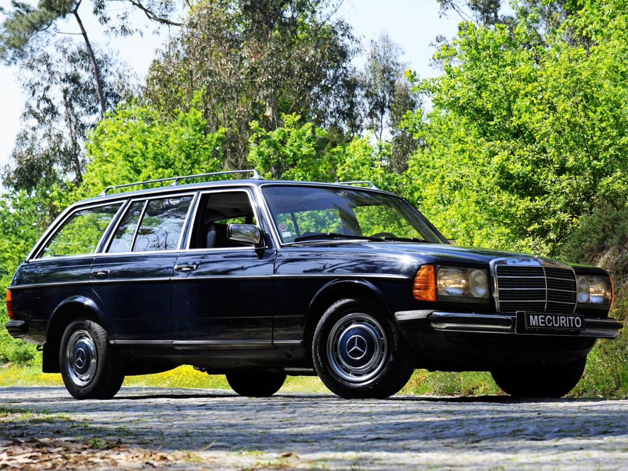 1980 Mercedes - Benz Benz 230 TE W123