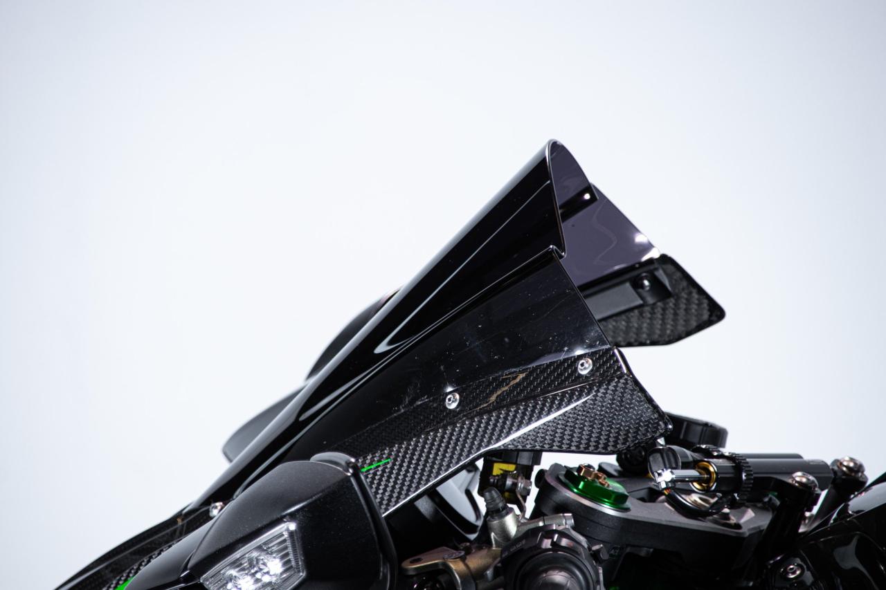 2018 Kawasaki NINJA H2 CARBON