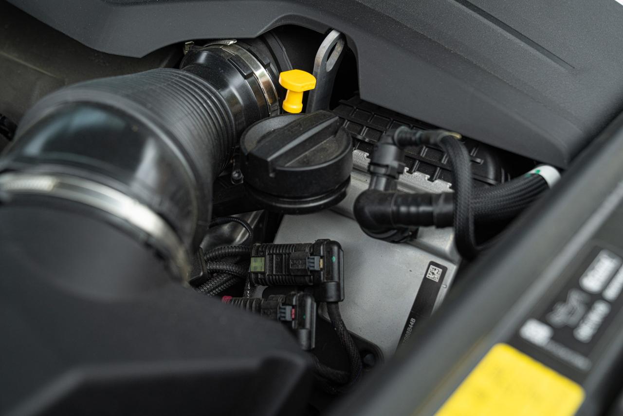 2024 Land Rover RANGE ROVER 4.4 V8 AUTOBIOGRAPHY