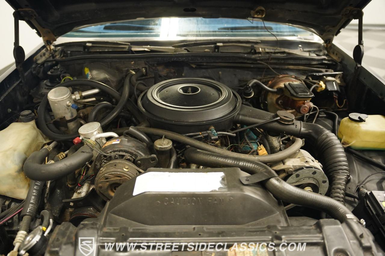 1981 Oldsmobile Cutlass