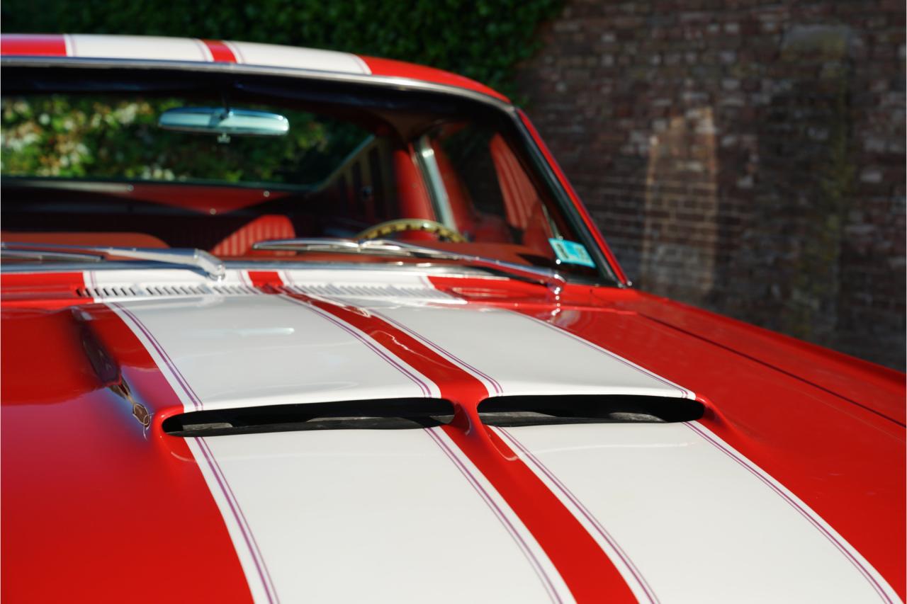 1965 Ford Mustang Fastback &ldquo;302 V8-Madness Power by Karl Ness&rdquo;