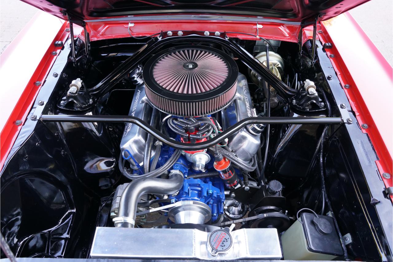 1965 Ford Mustang Fastback &ldquo;302 V8-Madness Power by Karl Ness&rdquo;