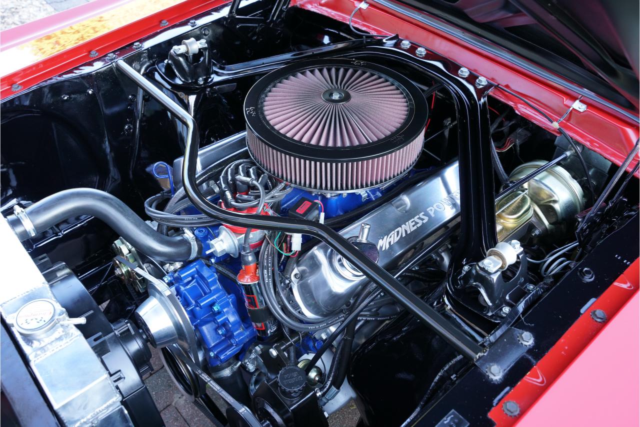 1965 Ford Mustang Fastback &ldquo;302 V8-Madness Power by Karl Ness&rdquo;
