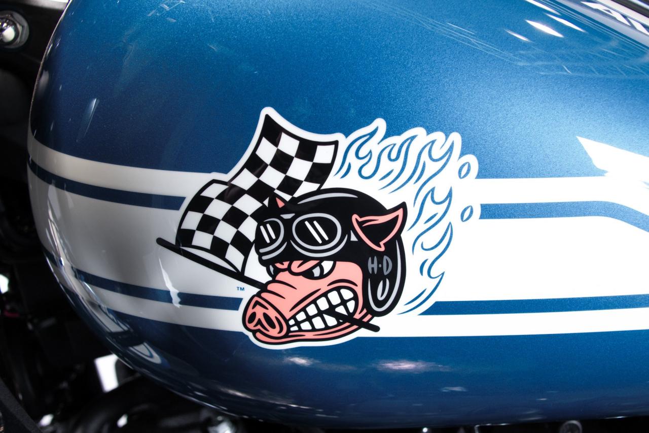 2023 Harley Davidson Low Rider ST - Fast Johnnie