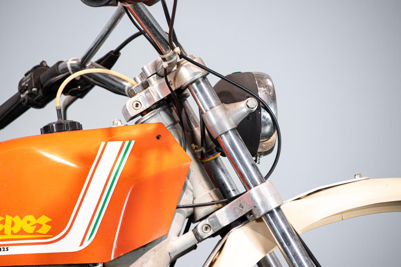 1983 Aspes 125 HOPI 5 RG